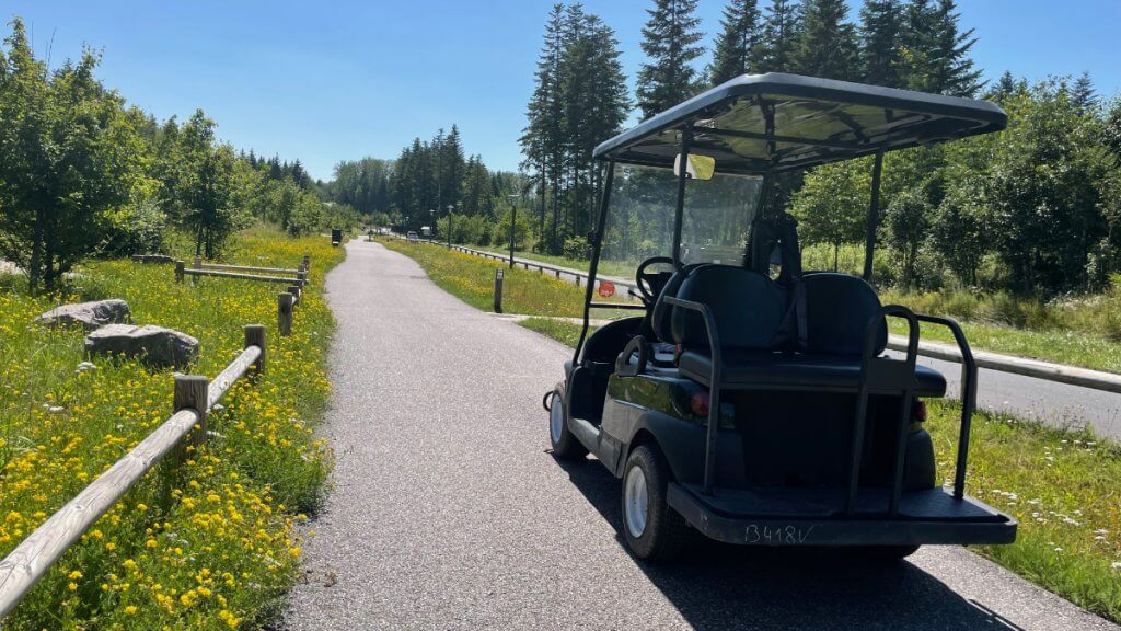 Foto eines Golfcarts im Center Parcs Les Trois Forêts
