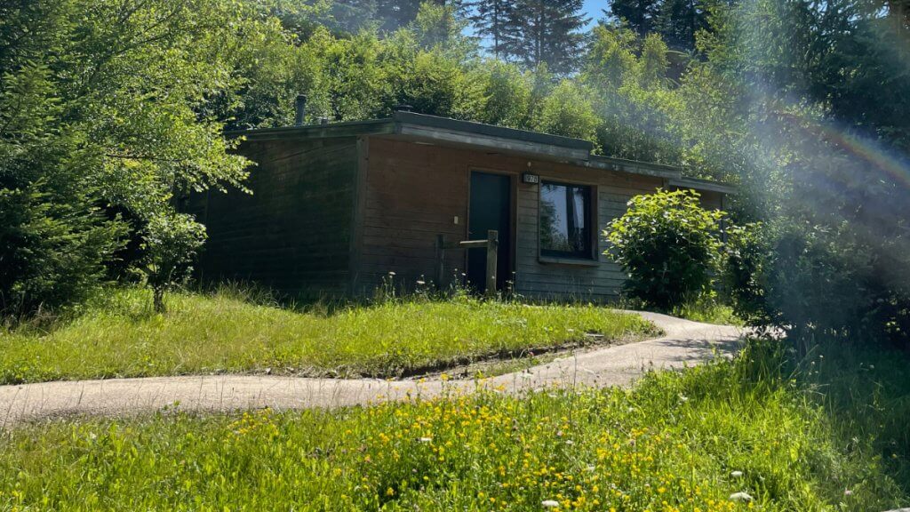 Holzcottage mit blühender Wiese im Center Parcs Les Trois Forêts
