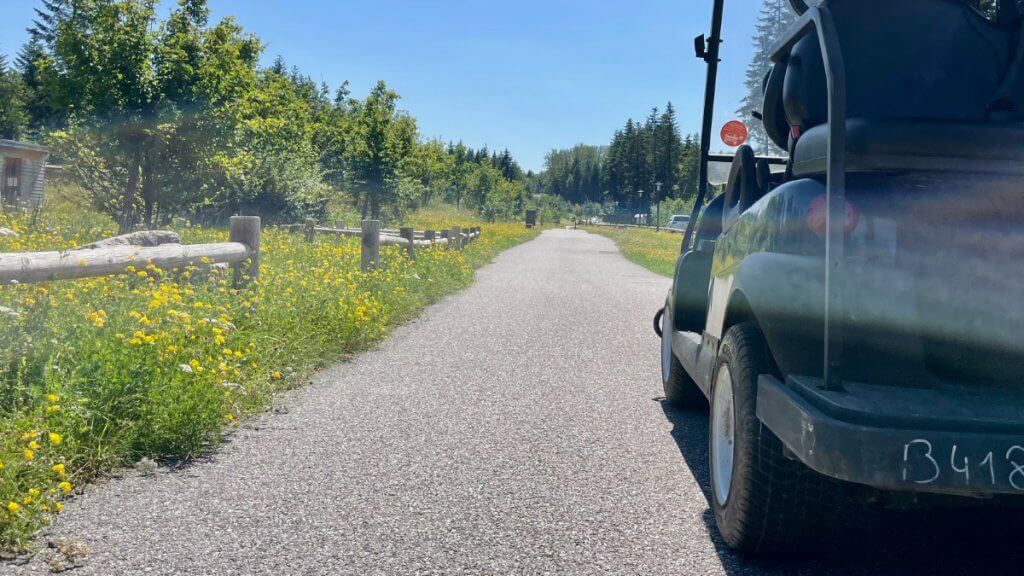 Kleinwagen im Center Parcs Les Trois Forêts