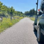 Voiturette center parcs les trois forets