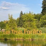 Foto der Buchstaben von Center Parcs „Les Trois Forêts“